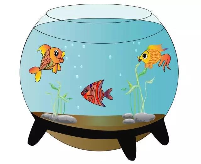 1魚(yú)缸法則.jpg